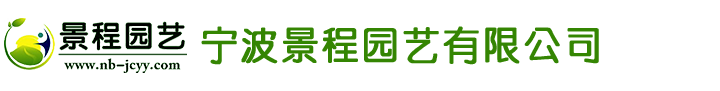 廣州卡哇依機器人科技有限公司